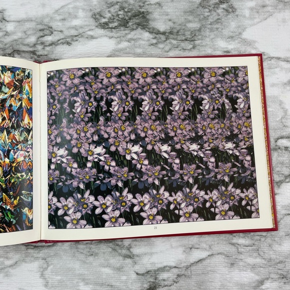 Magic Eye - A New Way of alooking st the World - 3D Illusion Illustration Book - Picture 6 of 6